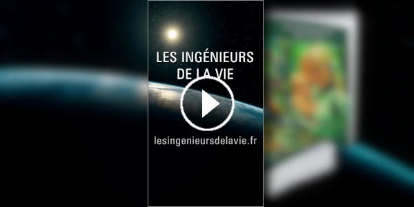 Passer du format video horizontal au format vidéo vertical Passer du format vidéo horizontal au format vidéo vertical