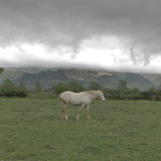 Cheval par temps orageux