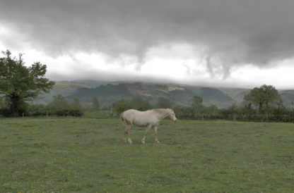 Cheval par temps orageux