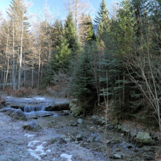 Hivers dans le Jura grand angle