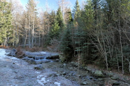 Hivers dans le Jura grand angle