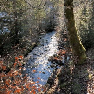 Hivers dans le Jura