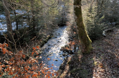 Hivers dans le Jura