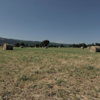 Panoramique droite-gauche sur champ avec balles de foin