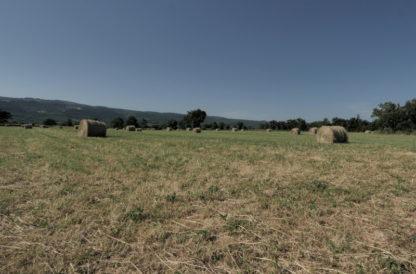 Panoramique droite-gauche sur champ avec balles de foin