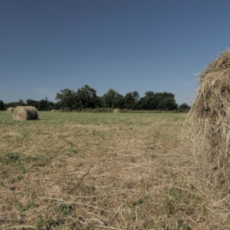 Panoramique gauche-droite sur champ avec balles de foin