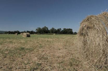 Panoramique gauche-droite sur champ avec balles de foin