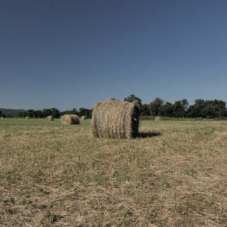 Panoramique sur champ et balles de foin