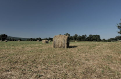 Panoramique sur champ et balles de foin