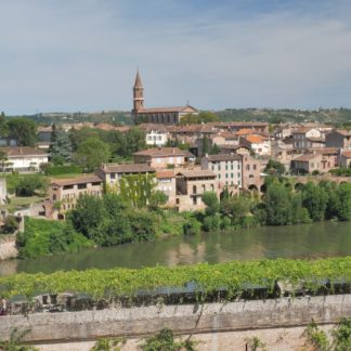 Panoramique vertical sur le Tarn à Albi