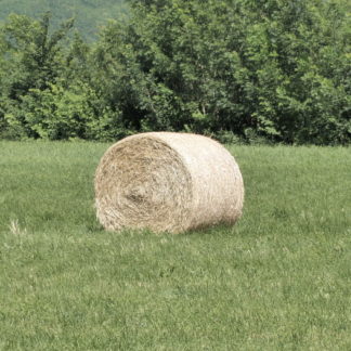 Zoom arrière sur balle de foin