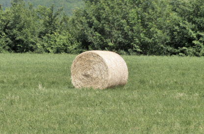 Zoom arrière sur balle de foin